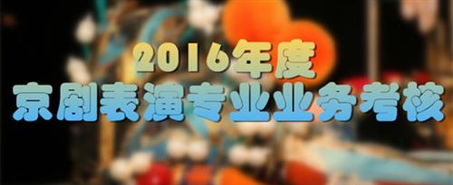 日韩美女艹逼视频网站国家京剧院2016年度京剧表演专业业务考...